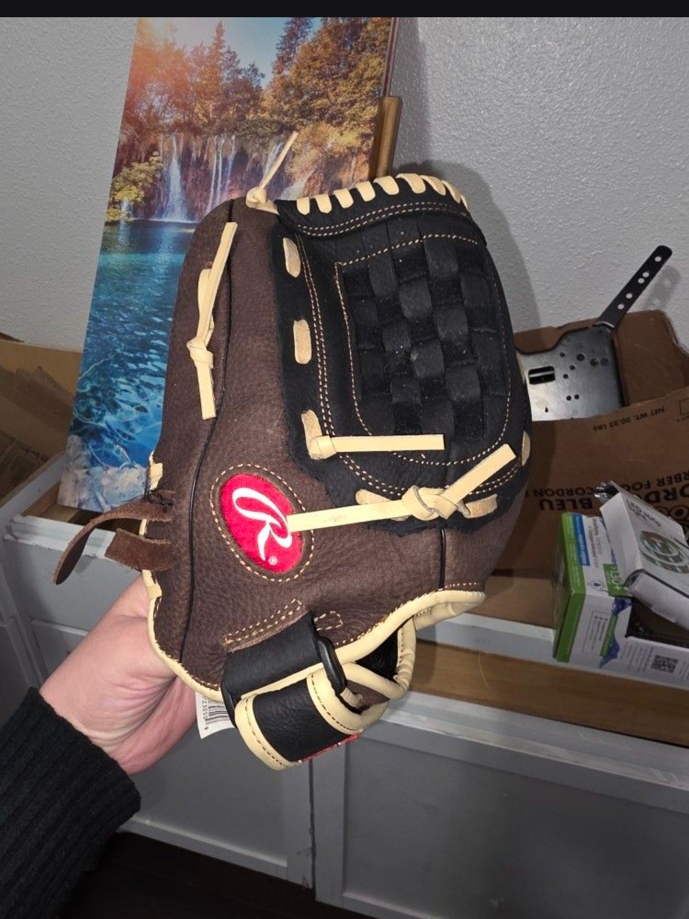 Rawlings Brown and Black Baseball Glove with Cream Lacing